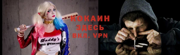 мдпв Волосово
