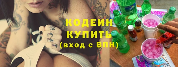 мдпв Верхний Тагил